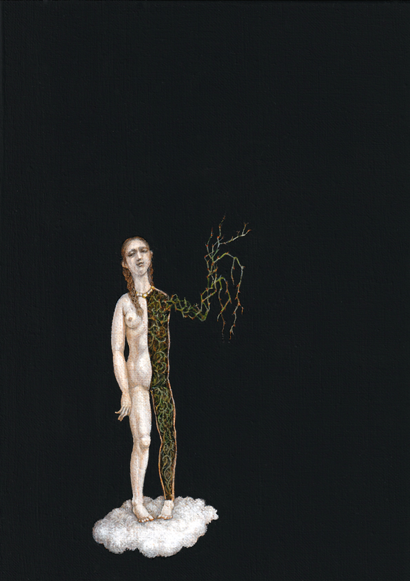 Opened Venus